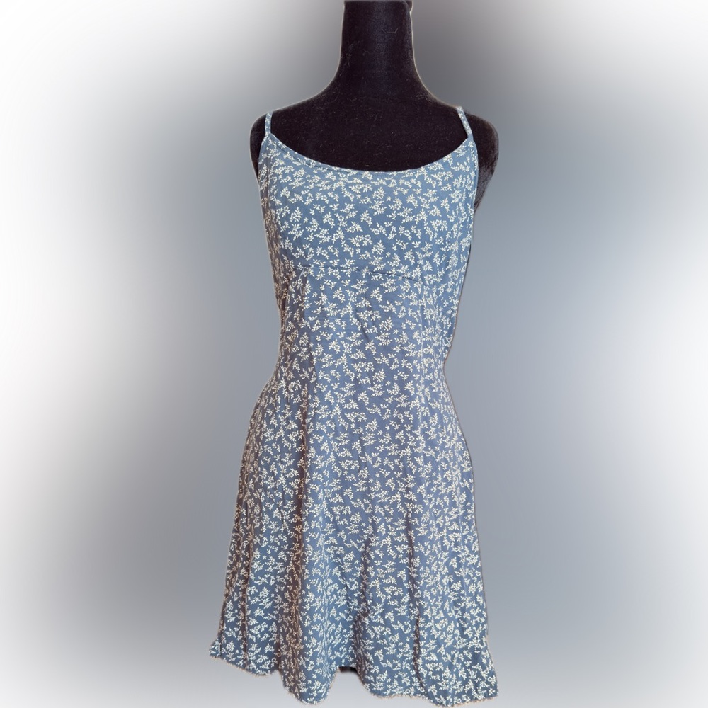 Brandy Melville Blue and White Floral Dress